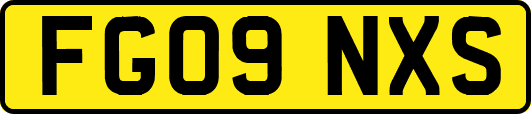 FG09NXS