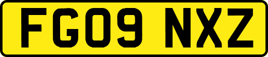 FG09NXZ