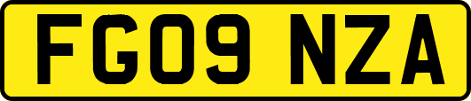 FG09NZA