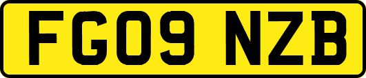FG09NZB
