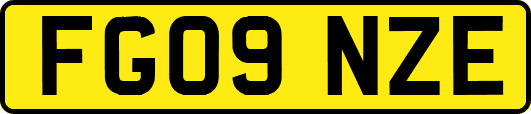 FG09NZE