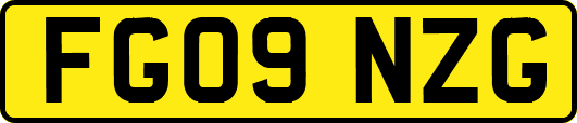FG09NZG
