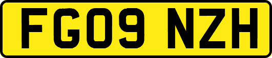 FG09NZH