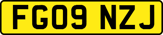 FG09NZJ