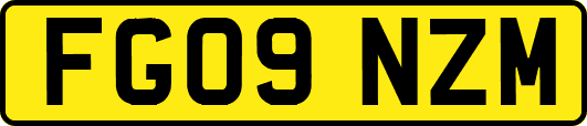 FG09NZM