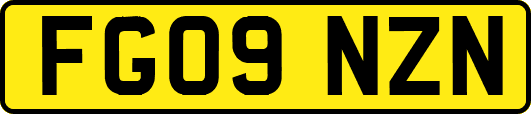 FG09NZN