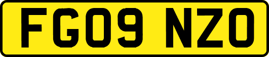 FG09NZO