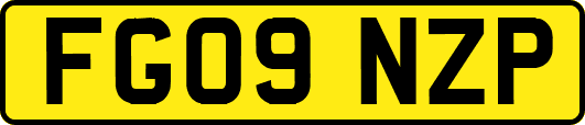 FG09NZP