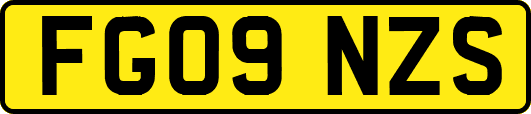 FG09NZS