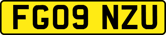 FG09NZU