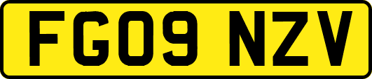 FG09NZV