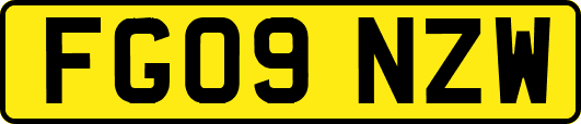 FG09NZW