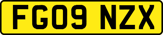 FG09NZX