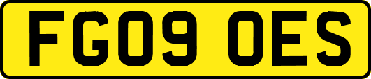 FG09OES