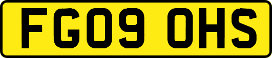 FG09OHS