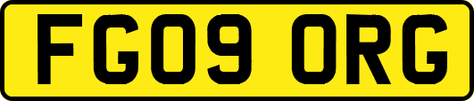 FG09ORG