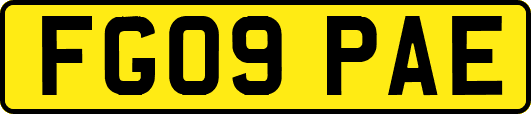 FG09PAE