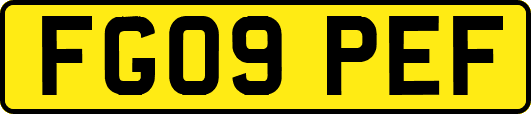 FG09PEF
