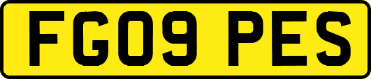 FG09PES