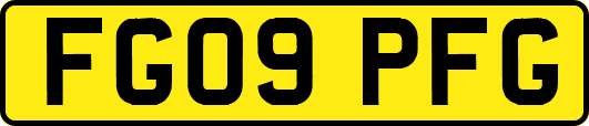 FG09PFG