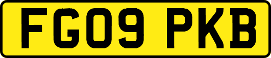 FG09PKB