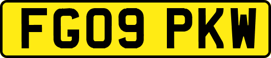 FG09PKW