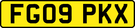 FG09PKX