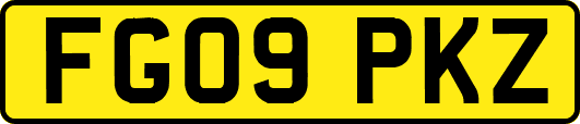 FG09PKZ