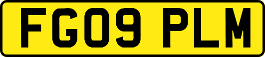 FG09PLM