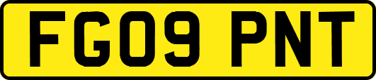 FG09PNT