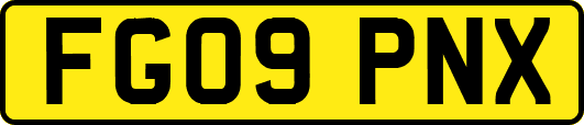 FG09PNX