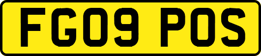 FG09POS