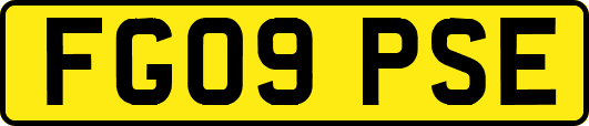 FG09PSE