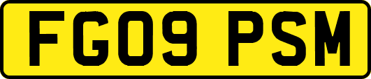 FG09PSM