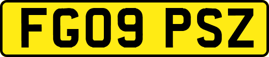 FG09PSZ