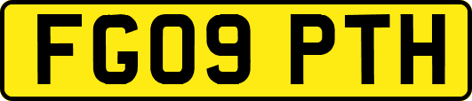 FG09PTH