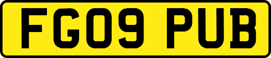 FG09PUB