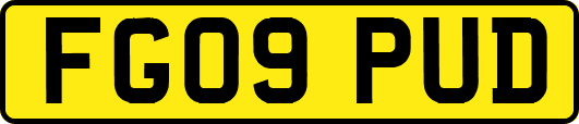 FG09PUD