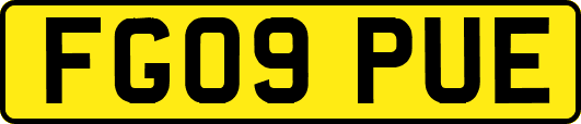 FG09PUE