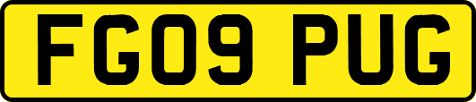 FG09PUG