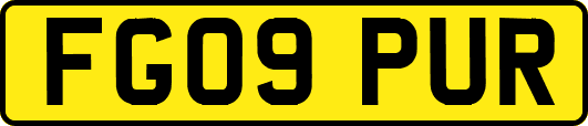 FG09PUR