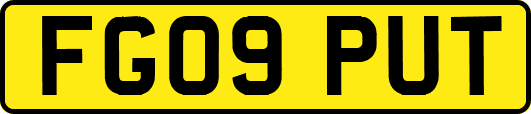FG09PUT