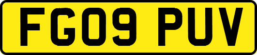 FG09PUV