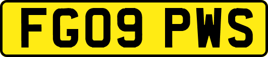 FG09PWS