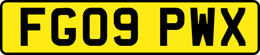 FG09PWX
