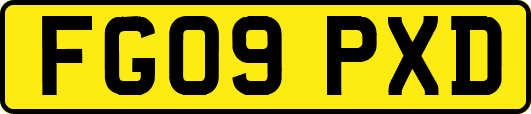 FG09PXD