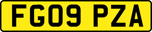 FG09PZA