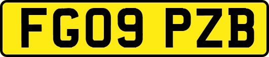 FG09PZB