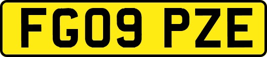 FG09PZE