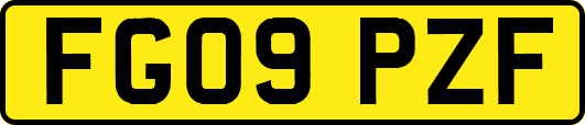 FG09PZF